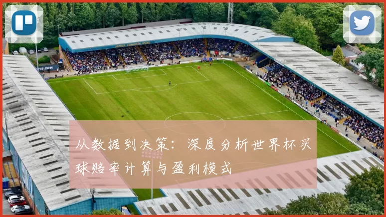 从数据到决策:深度分析世界杯买球赔率计算与盈利模式