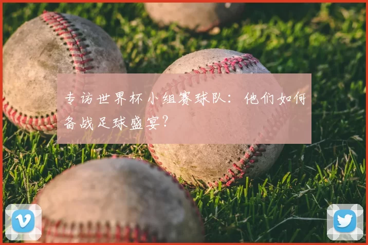 专访世界杯小组赛球队:他们如何备战足球盛宴?