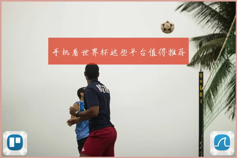手机看世界杯这些平台值得推荐