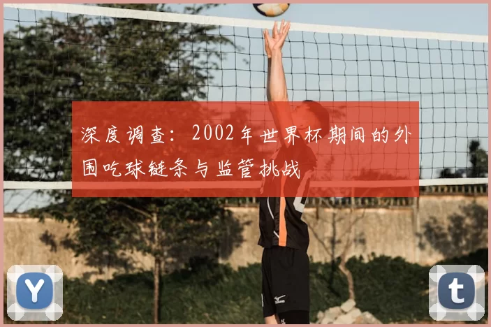 深度调查:2002年世界杯期间的外围吃球链条与监管挑战