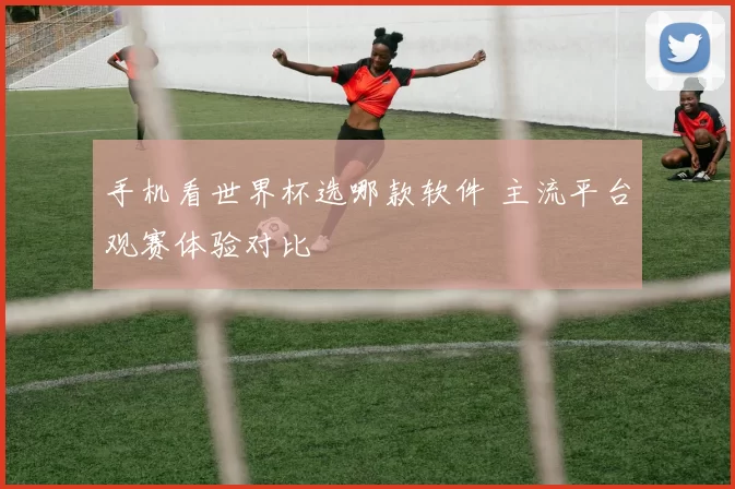 手机看世界杯选哪款软件 主流平台观赛体验对比