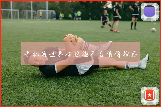 手机看世界杯这些平台值得推荐