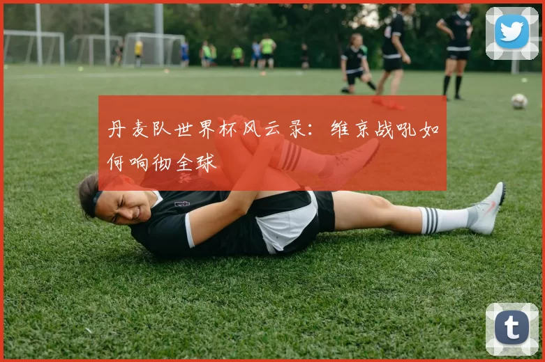 丹麦队世界杯风云录：维京战吼如何响彻全球