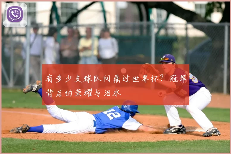 有多少支球队问鼎过世界杯?冠军背后的荣耀与泪水