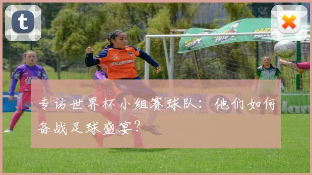 专访世界杯小组赛球队：他们如何备战足球盛宴？