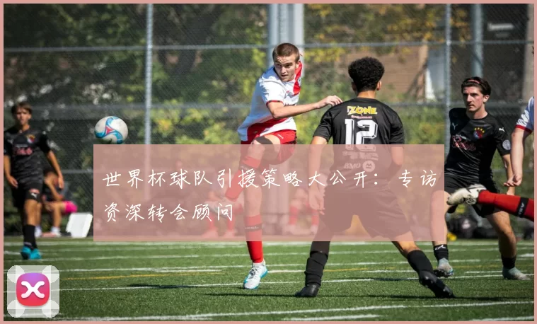 世界杯球队引援策略大公开：专访资深转会顾问