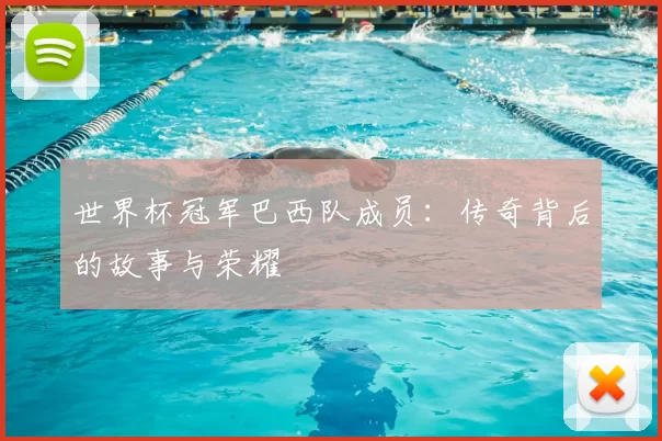 世界杯冠军巴西队成员：传奇背后的故事与荣耀
